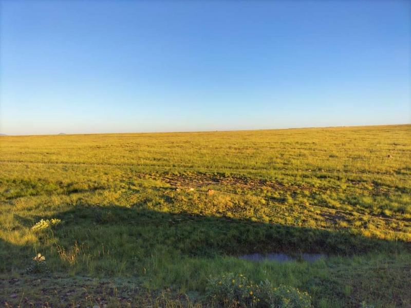 0 Bedroom Property for Sale in Ladybrand Free State